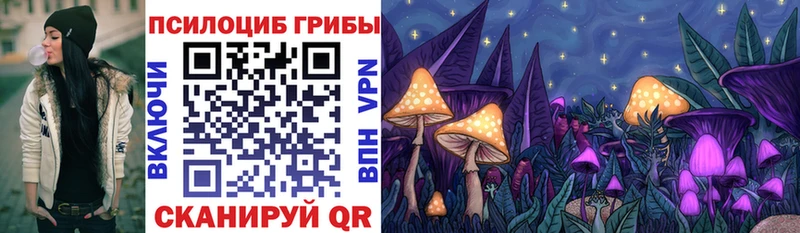 Купить закладки  Ельня  Галлюциногенные грибы Psilocybe 
