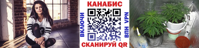 Купить закладки  Ельня  Конопля марихуана 